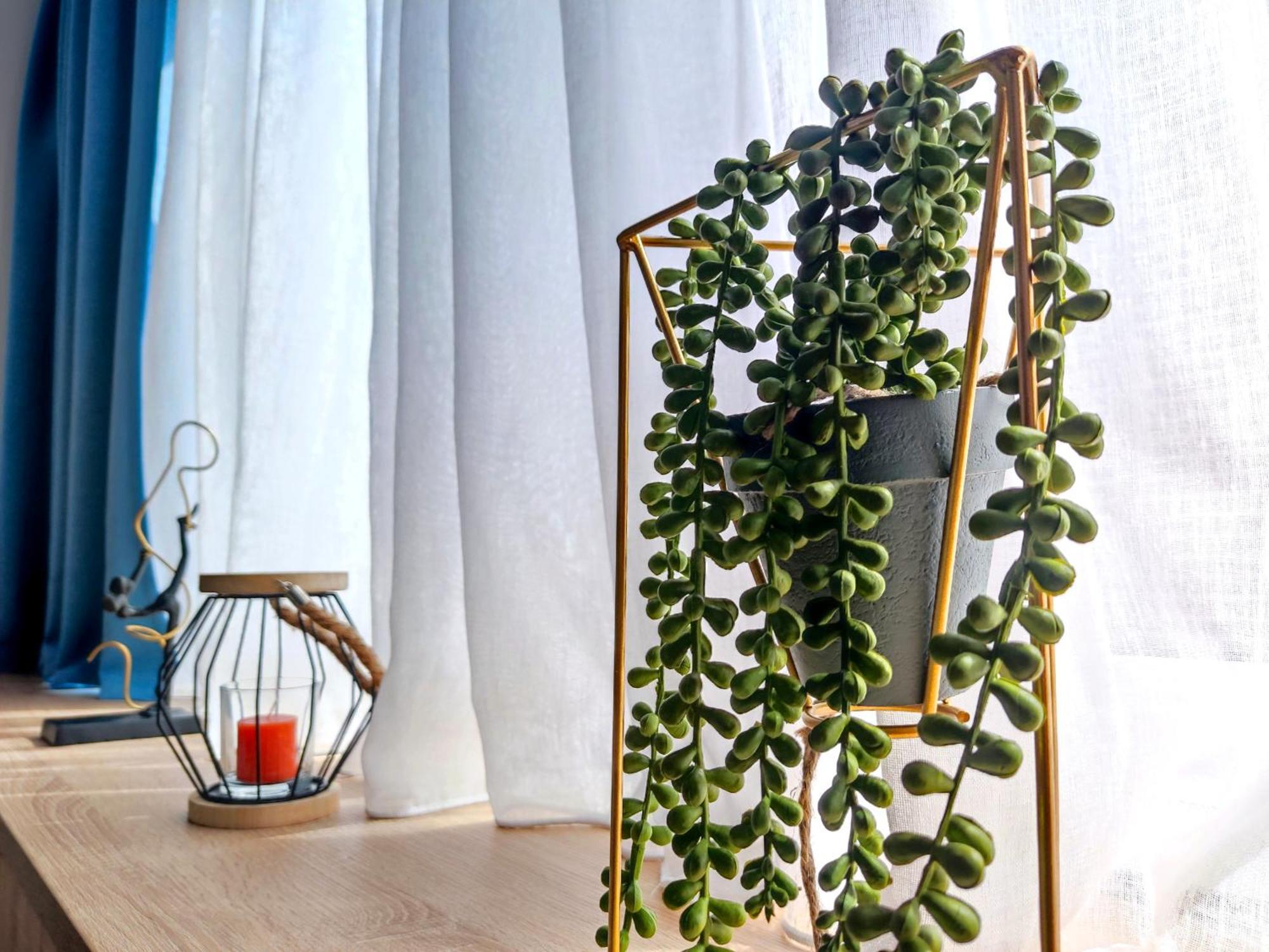 Apartment Syntagma Ermou *